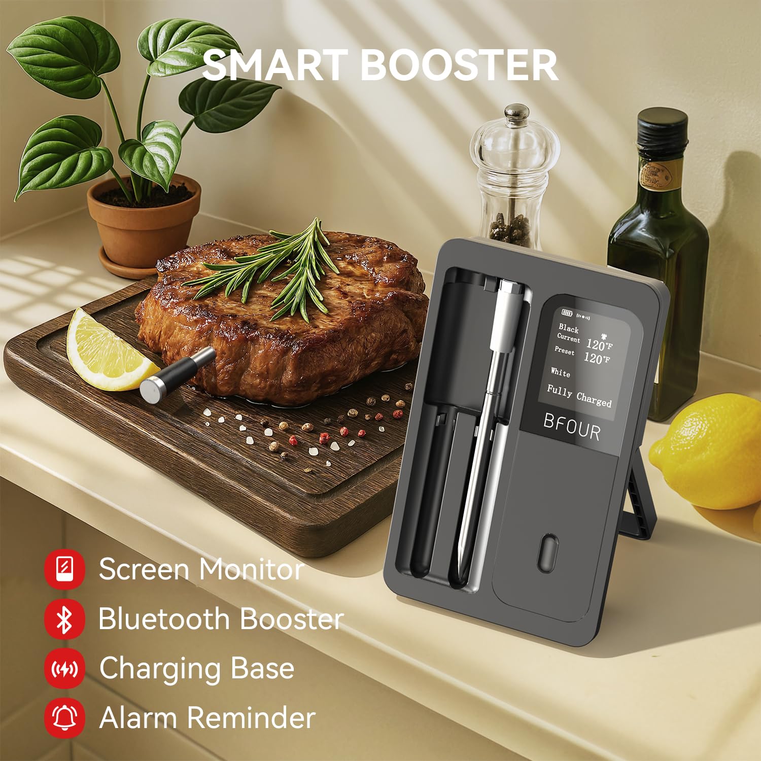 Termometer Daging Nirkabel Pro - Kitchen Appliances Video ulasan dan harga