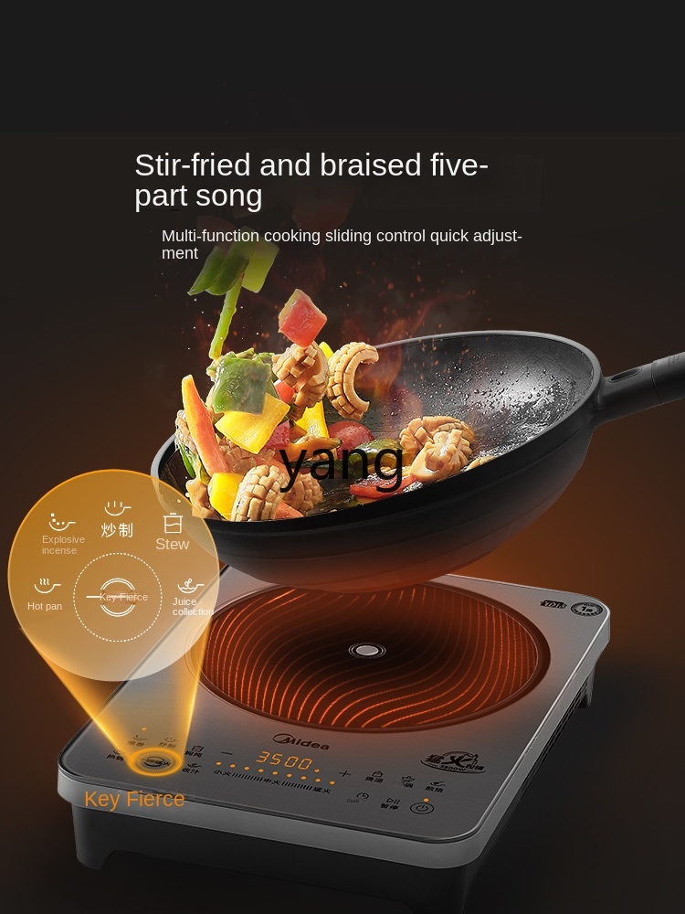Kompor Induksi Rumah Tangga LM - Induction Cooker ulasan dan harga