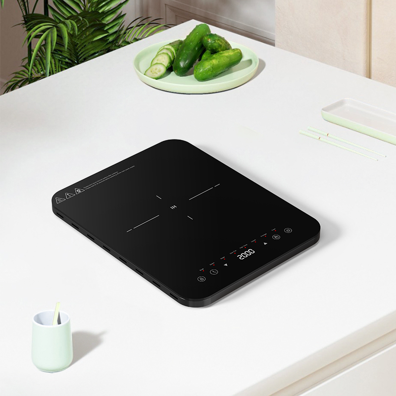 Zona memasak induksi dengan pe - Induction Cooktop Portable ulasan dan harga