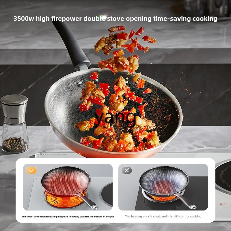 Kompor induksi berlian platinu - Induction Cooker ulasan dan harga
