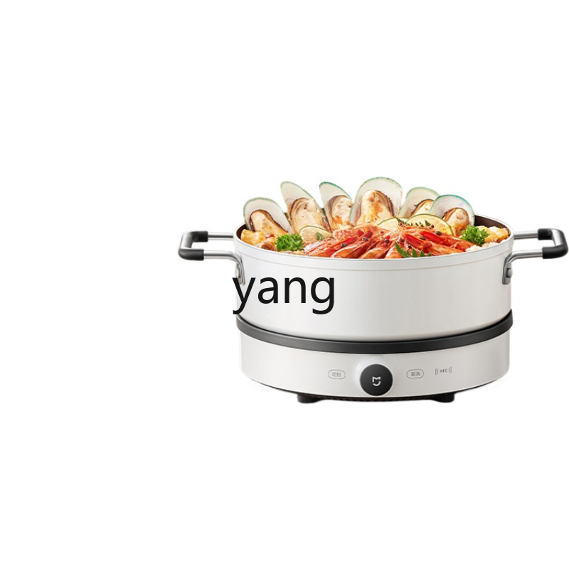 Kompor Induksi LMM Multifungsi - Induction Cooker ulasan dan harga