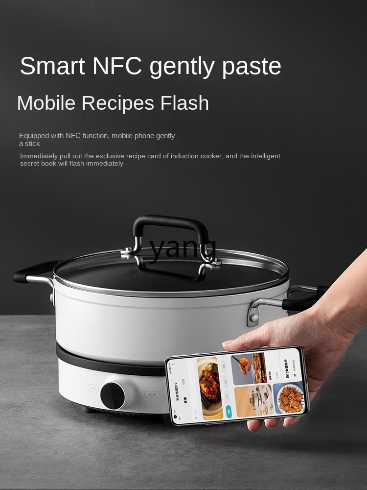 Kompor Induksi LMM Multifungsi - Induction Cooker ulasan dan harga