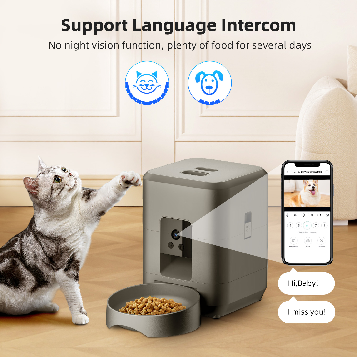 Pengumpan Otomatis Kucing Deng - Kitchen Appliances Video ulasan dan harga