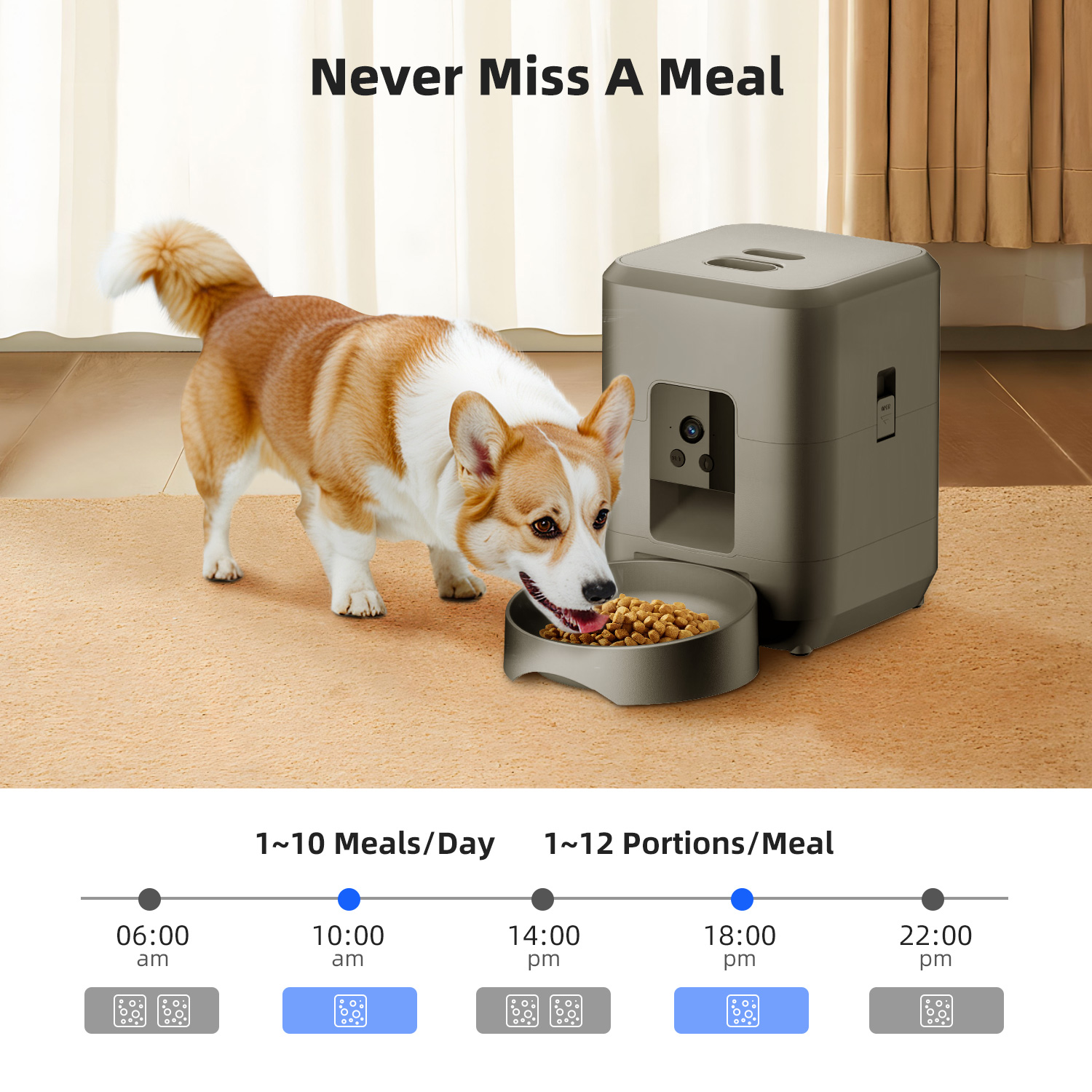 Pengumpan Otomatis untuk Hewan - Kitchen Appliances Video ulasan dan harga